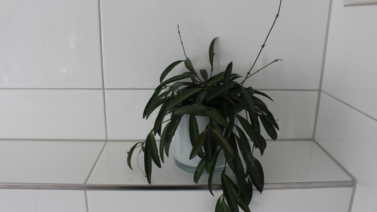 Appartement Maria Egg Bagian luar foto